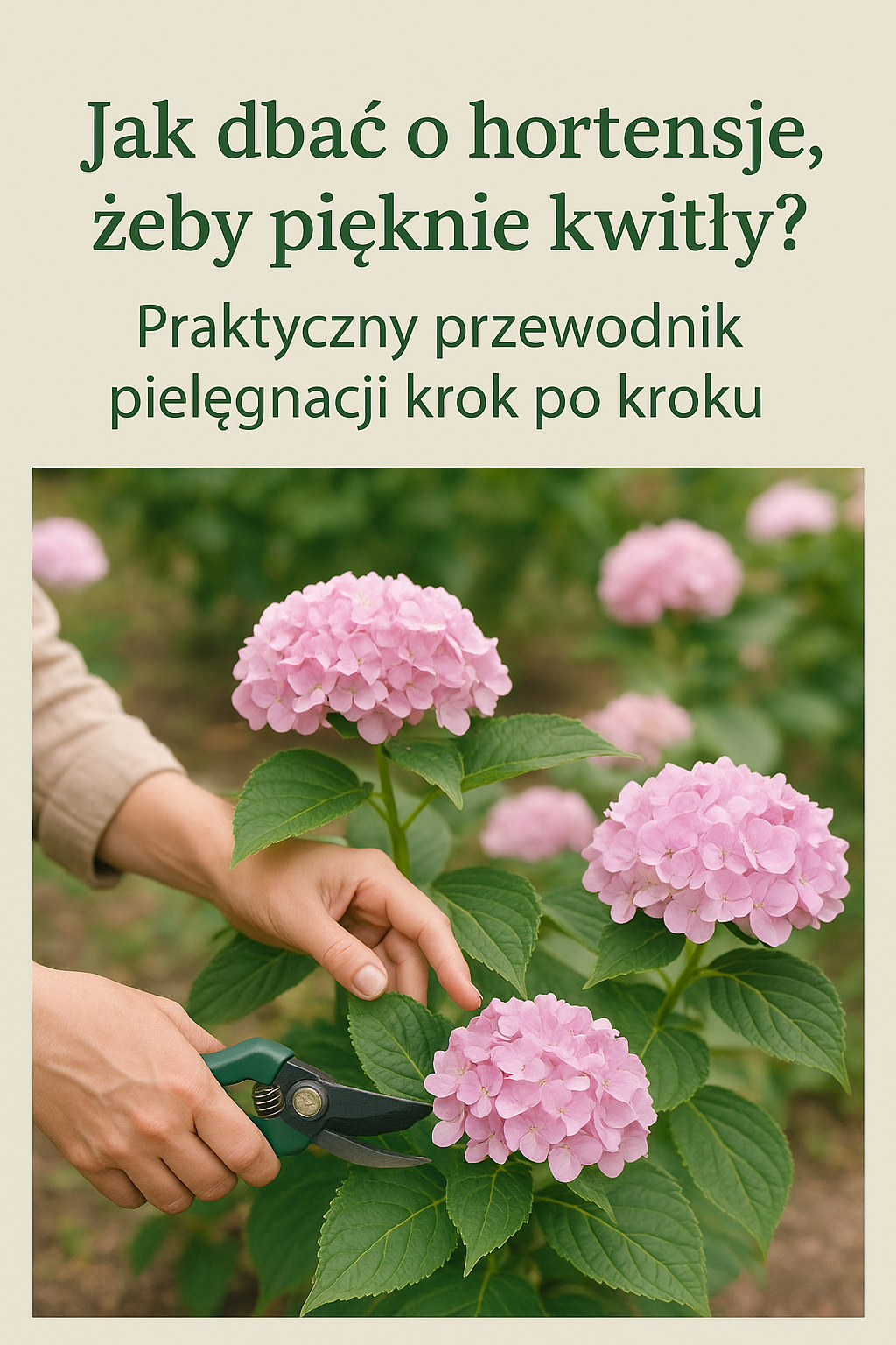 Jak dbać o hortensje, żeby pięknie kwitły? Praktyczny przewodnik pielęgnacji krok po kroku